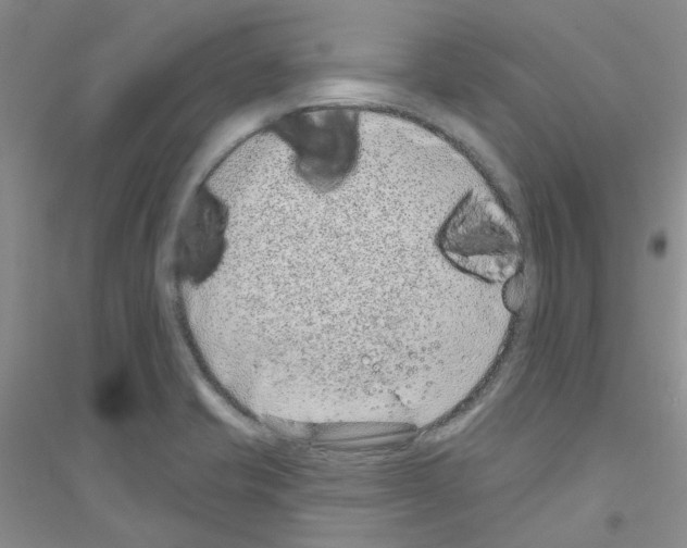 X0000116891421201002021200