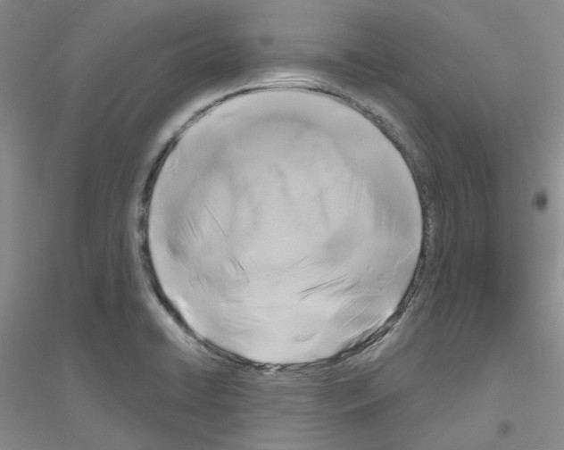 X0000116891422201002021200