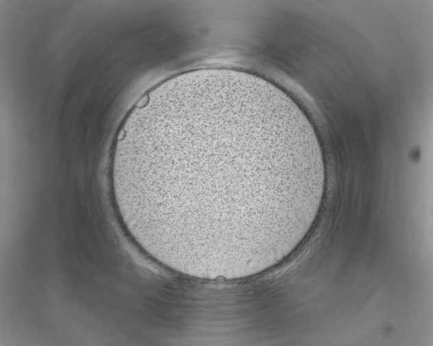 X0000116891423201002021200