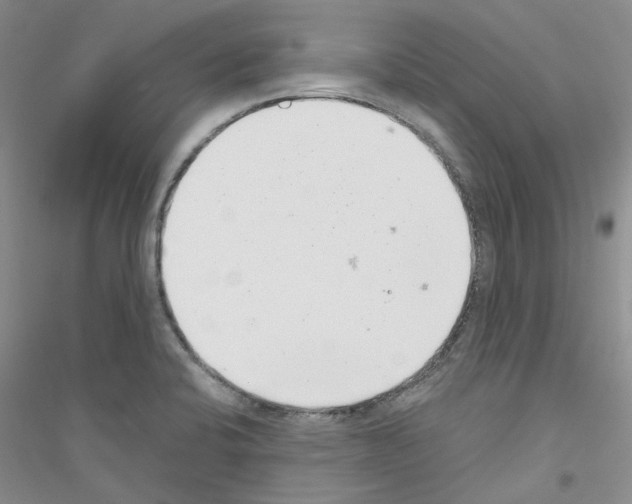 X0000116891424201002021200