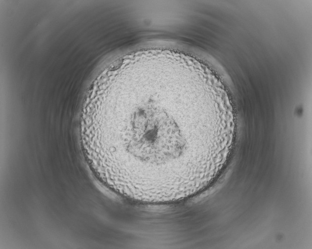 X0000116891425201002021200