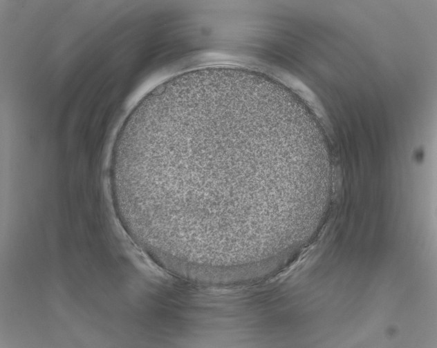 X0000116891427201002021200