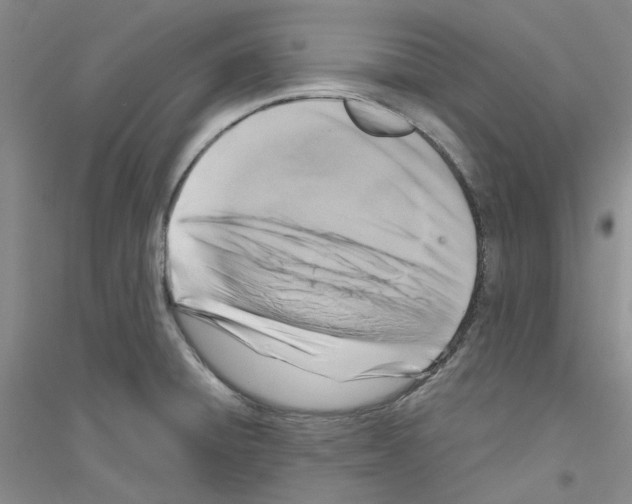 X0000116891428201002021200