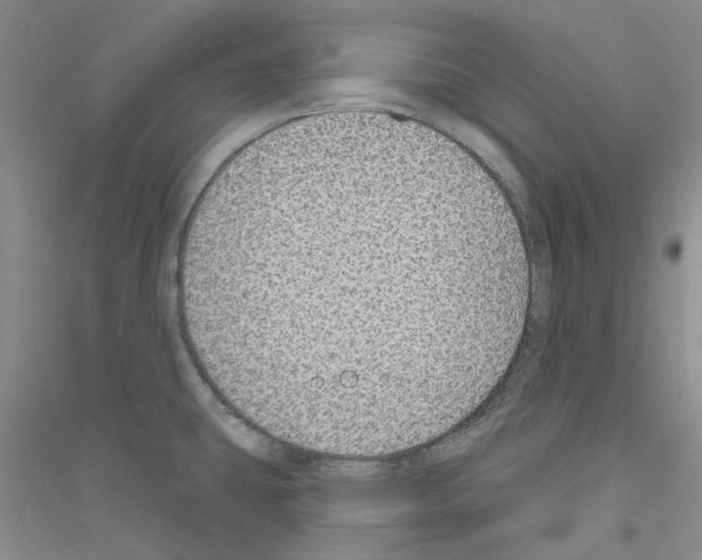 X0000116891431201002021200