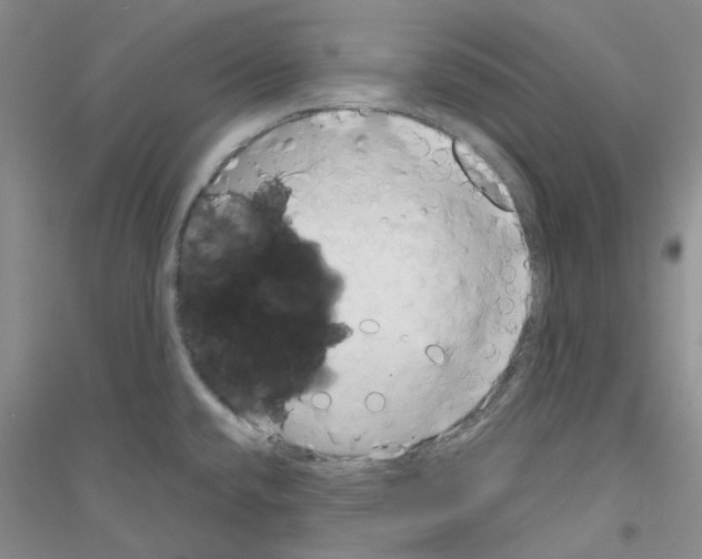 X0000116891432201002021200