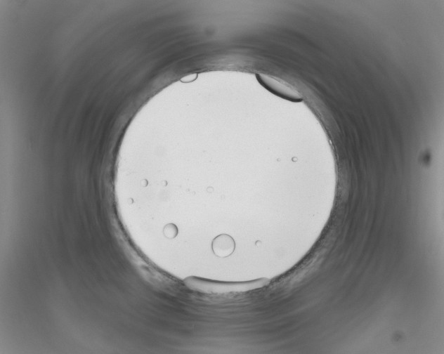 X0000116891434201002021200