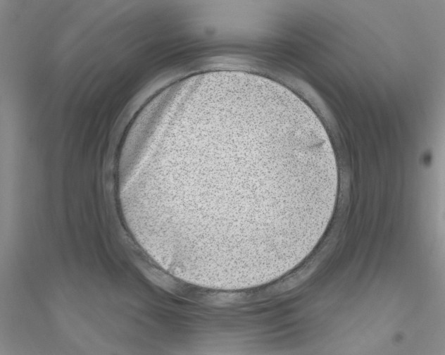 X0000116891435201002021200