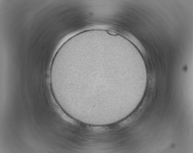 X0000116891436201002021200