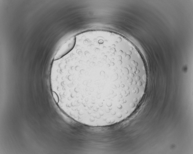 X0000116891437201002021200