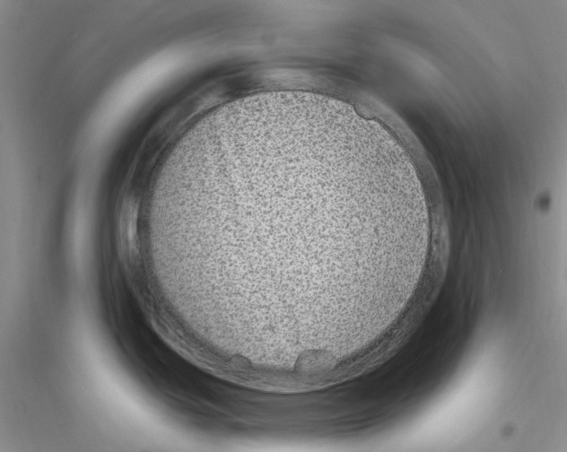 X0000116891439201002021200