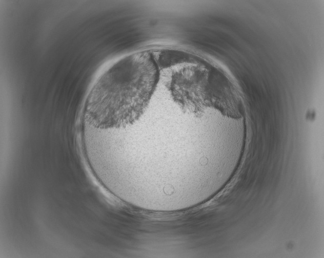 X0000116891440201002021200