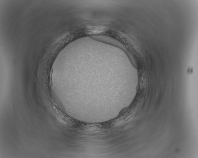 X0000116891441201002021159