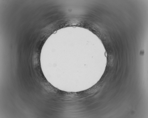 X0000116891442201002021159