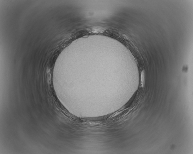 X0000116891443201002021159