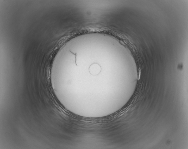 X0000116891444201002021159