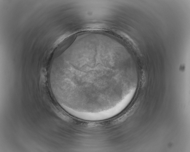 X0000116891449201002021159