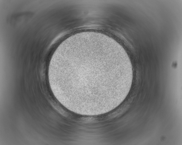 X0000116891450201002021159