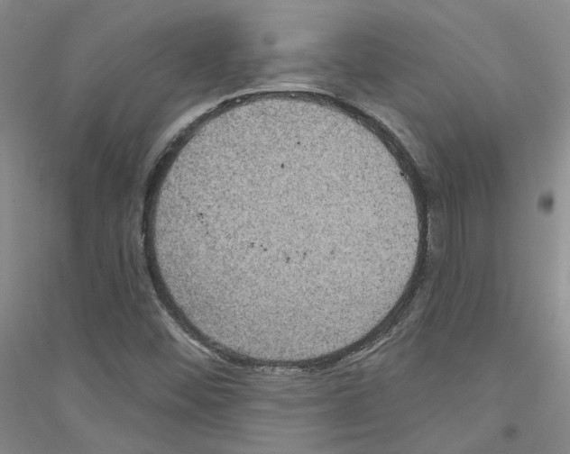 X0000116891452201002021159