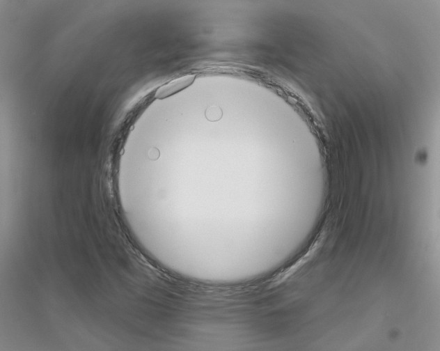 X0000116891453201002021159