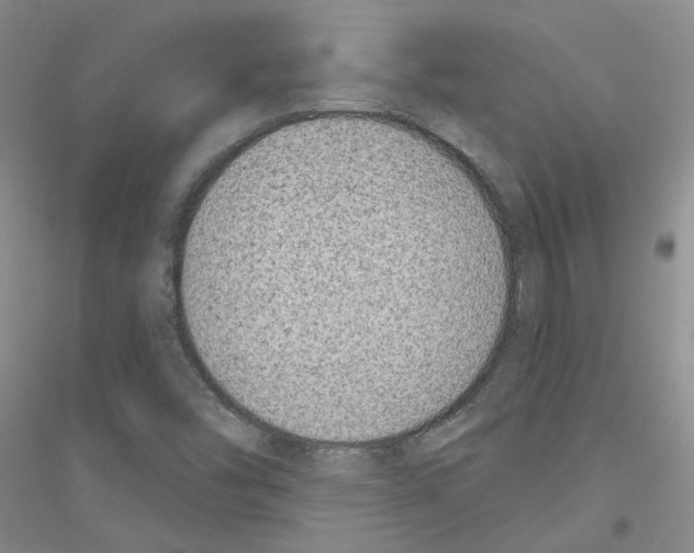 X0000116891454201002021159