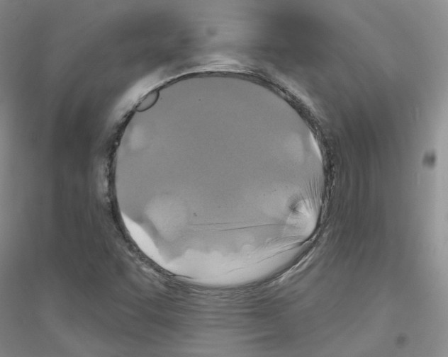 X0000116891455201002021159