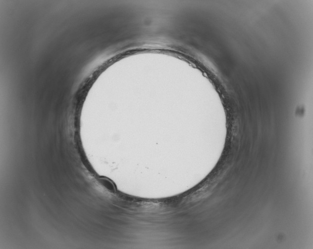 X0000116891456201002021159