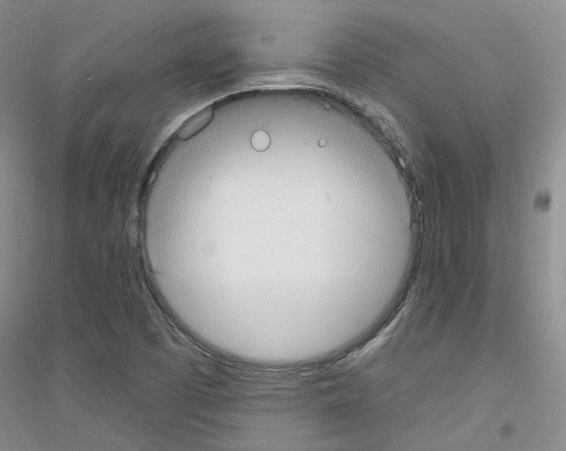 X0000116891457201002021159