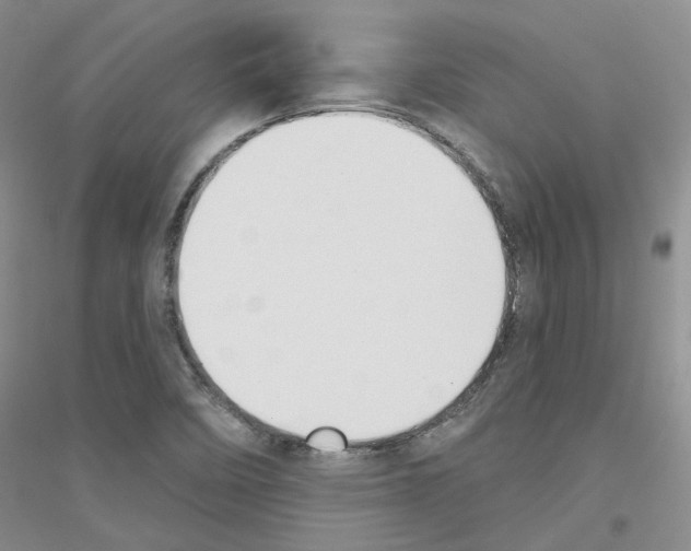 X0000116891458201002021159