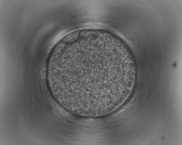 X0000116891459201002021159