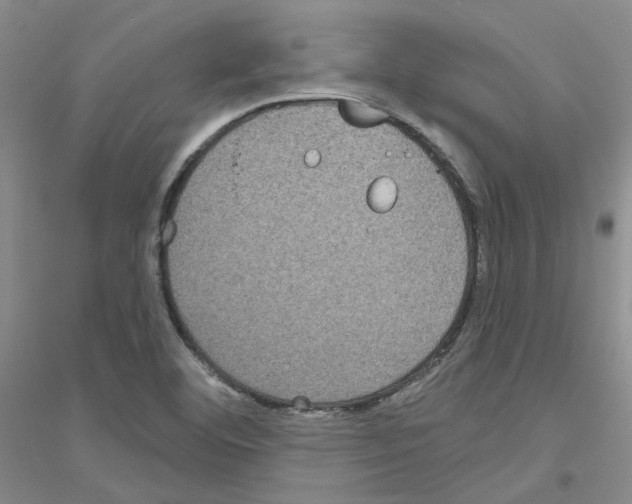 X0000116891460201002021159