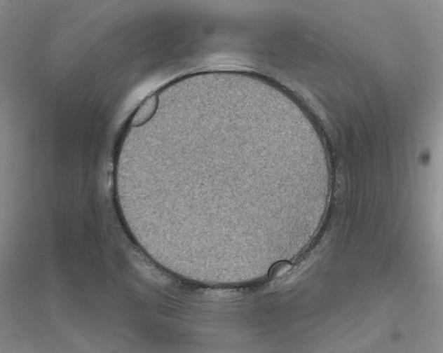 X0000116891461201002021159