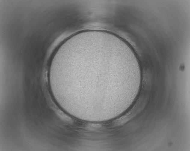 X0000116891462201002021159