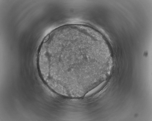 X0000116891463201002021159