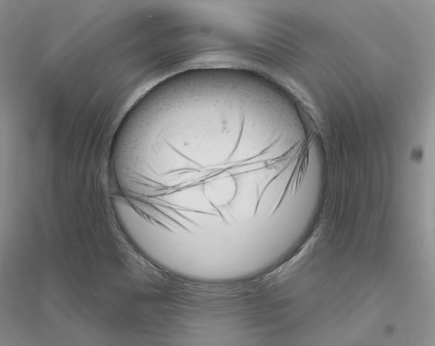 X0000116891465201002021159