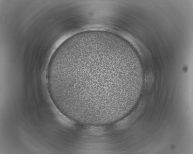 X0000116891466201002021159