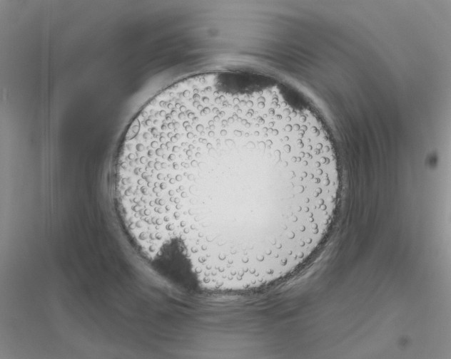 X0000116891467201002021159