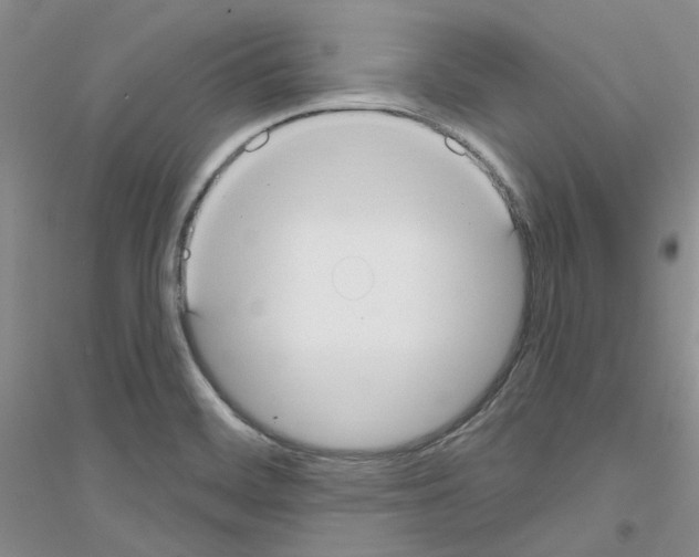 X0000116891468201002021159