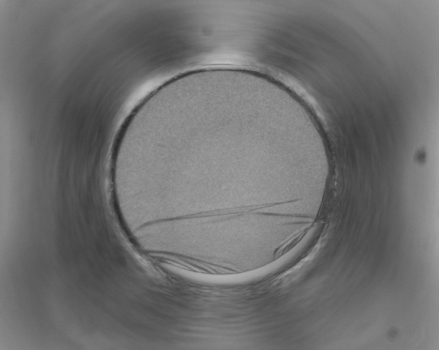 X0000116891469201002021159