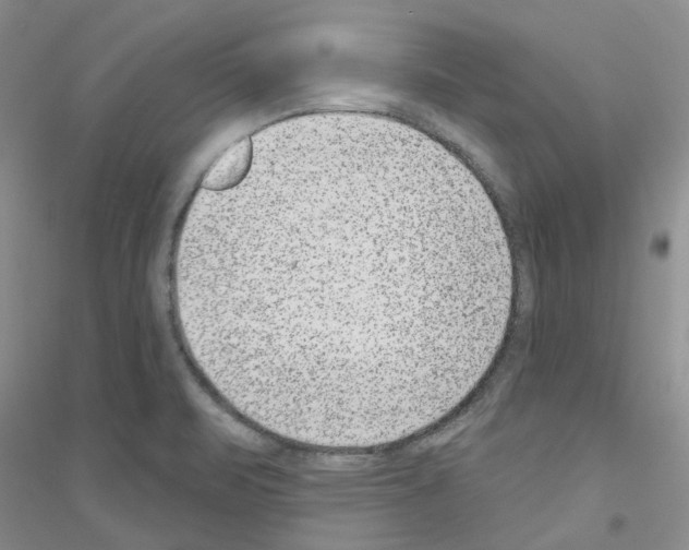 X0000116891471201002021159