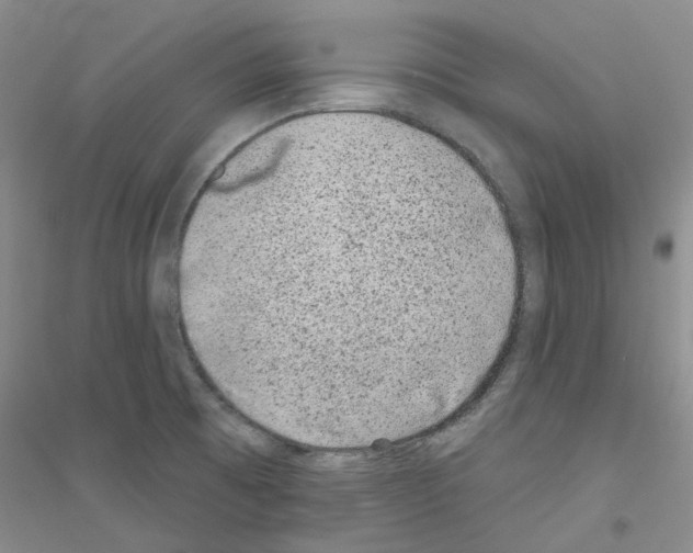 X0000116891473201002021159