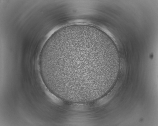 X0000116891474201002021159