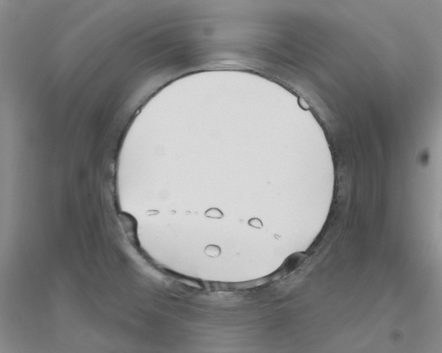 X0000116891476201002021159