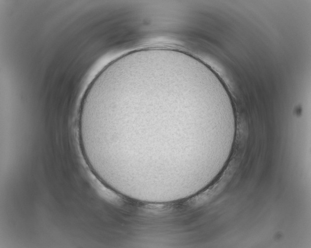 X0000116891478201002021159