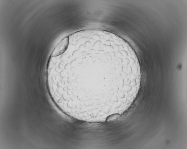 X0000116891479201002021159