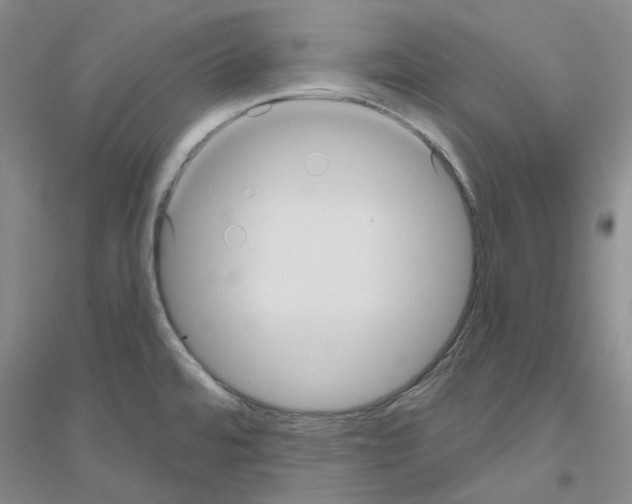 X0000116891480201002021159