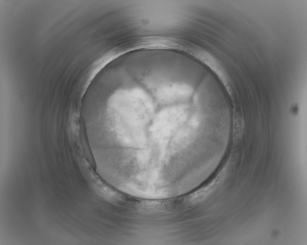 X0000116891481201002021159