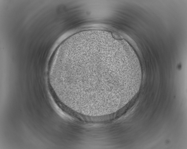 X0000116891482201002021159