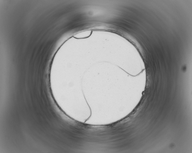 X0000116891483201002021159