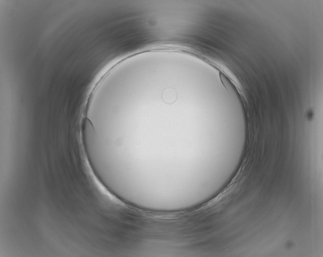 X0000116891484201002021159