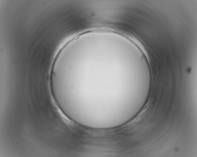 X0000116891485201002021159